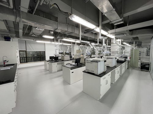 向地球深部進(jìn)軍 山東能源集團(tuán)深部煤炭數(shù)智化高效開采成套技術(shù)與工程應(yīng)用引領(lǐng)煤炭工業(yè)高質(zhì)量發(fā)展