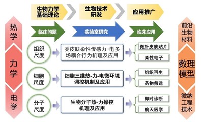 西安交通大學(xué)&ldquo;仿生工程與生物力學(xué)研究所(BEBC)&rdquo;誠聘英才