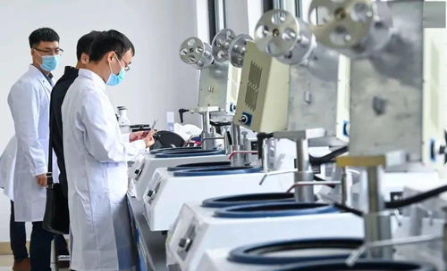 劃重點 這些 陽江元素 寫入省政府工作報告