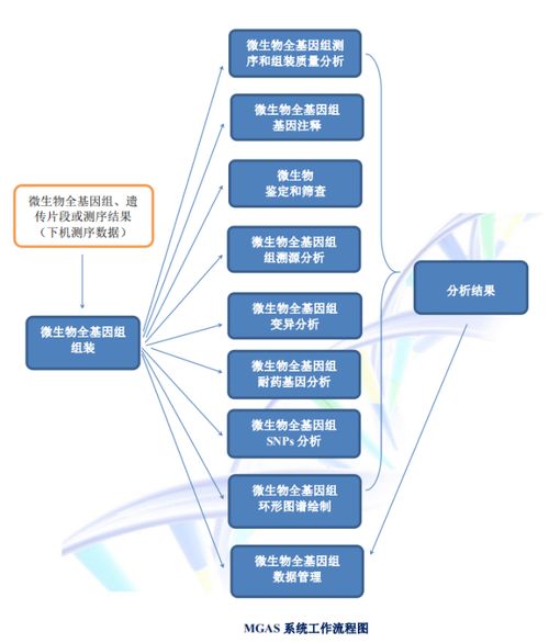 聚焦傳染病防控,碩世邀您共襄第14屆傳染病防控基礎研究與技術(shù)應用學術(shù)交流會